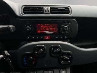 FIAT Panda usata 12