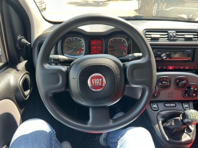 FIAT Panda usata, con Controllo trazione