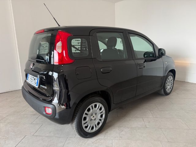 FIAT Pandina usata 3