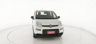 FIAT Panda usata, con Airbag