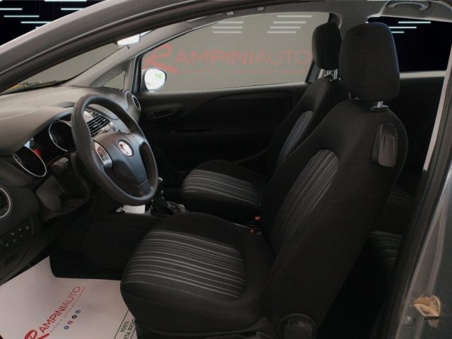 FIAT Punto usata 12