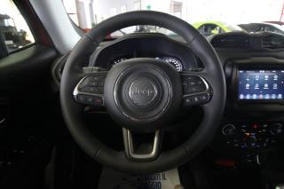 JEEP Renegade usata, con Cronologia tagliandi