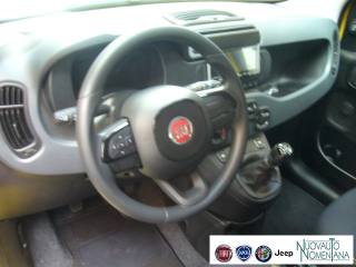 FIAT Panda usata, con Sensore di pioggia