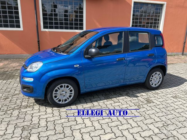 FIAT Panda usata, con Controllo trazione