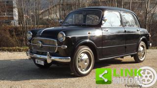 FIAT 1100 usata 23