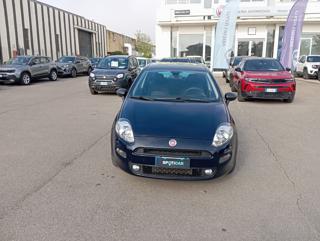 FIAT Punto usata, con Airbag
