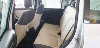 FIAT Panda usata, con Climatizzatore