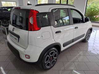 FIAT Panda usata, con Controllo trazione