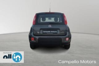 FIAT Panda usata 3