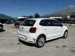 VOLKSWAGEN Polo usata, con Chiusura centralizzata