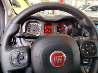 FIAT Panda Cross usata 22
