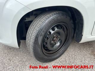 FIAT Panda usata 20