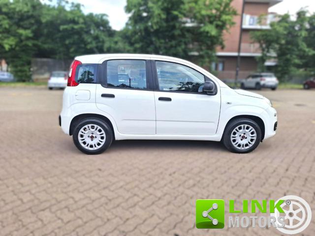 FIAT Panda usata 13