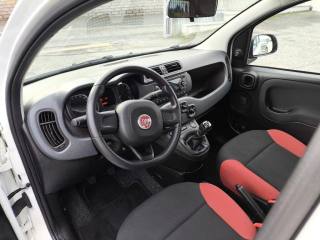 FIAT Panda usata 6
