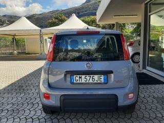 FIAT Panda usata, con Immobilizzatore elettronico