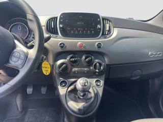 FIAT 500 usata 15