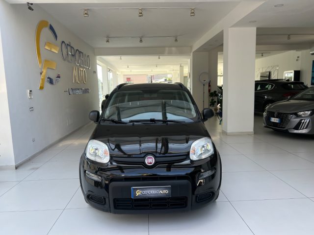 FIAT Panda usata, con Cerchi in lega