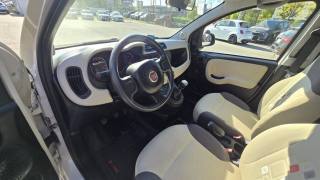 FIAT Panda usata, con Airbag testa