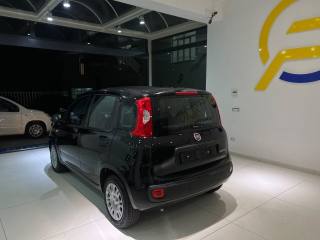 FIAT Panda usata, con Antifurto