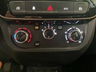 DACIA Spring usata 18
