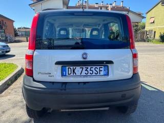 FIAT Panda usata 2