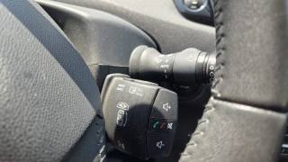 RENAULT Scenic usata, con Volante multifunzione