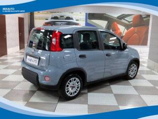FIAT Panda usata, con Airbag