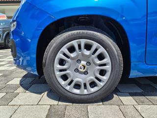 FIAT Panda usata, con Chiusura centralizzata telecomandata