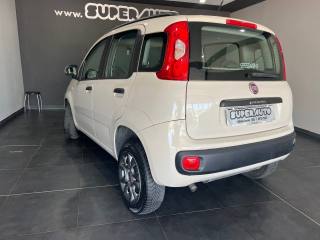 FIAT Panda usata, con Airbag laterali