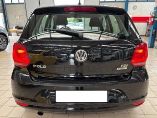 VOLKSWAGEN Polo usata, con Cerchi in lega