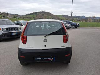 FIAT Punto usata 4
