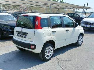 FIAT Panda usata, con Autoradio