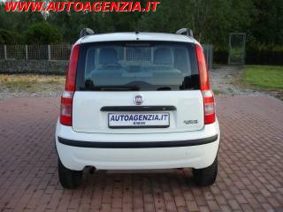 FIAT Panda usata 5