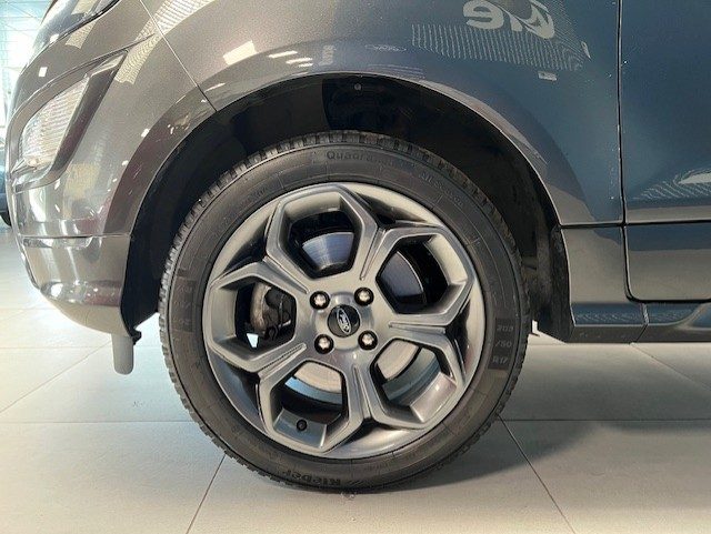 FORD EcoSport usata, con Immobilizzatore elettronico