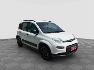FIAT Panda usata 4