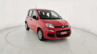 FIAT Panda usata 24
