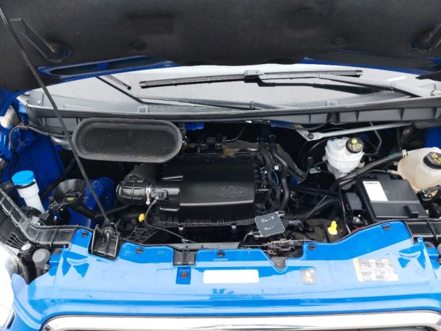 FORD Transit usata, con Volante multifunzione