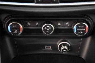ALFA ROMEO Stelvio usata, con Volante in pelle