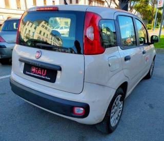 FIAT Panda usata, con Controllo trazione