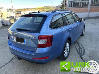SKODA Octavia usata 4