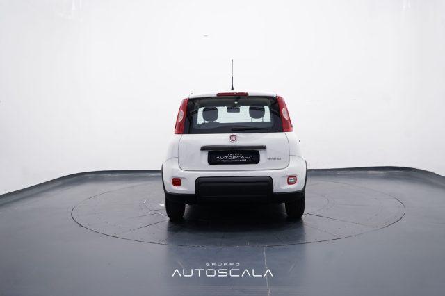 FIAT New Panda usata, con Antifurto