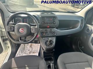 FIAT Panda usata, con ESP