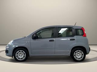 FIAT Panda usata, con Airbag Passeggero