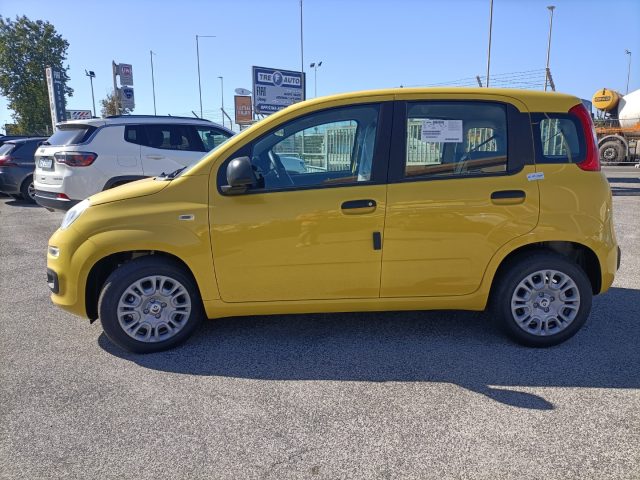 FIAT Panda usata, con Antifurto