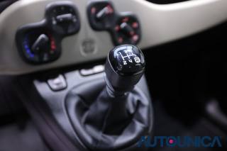 FIAT Panda usata 24