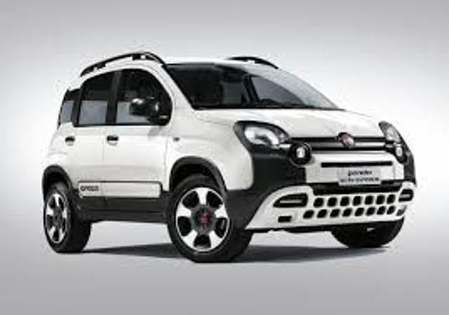 FIAT Panda Cross usata, con ABS