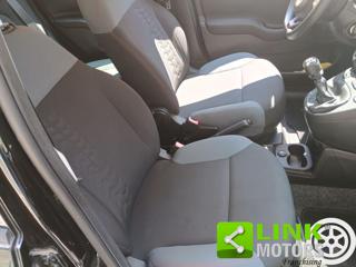 FIAT Panda usata 19