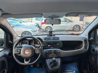 FIAT Panda usata 6