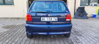 VOLKSWAGEN Polo usata 5