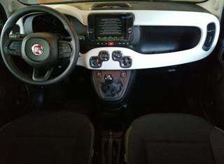 FIAT Pandina usata, con Controllo trazione